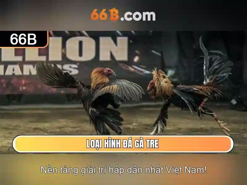<!--IMG_PLACEHOLDER alt>66b .com – Sản phẩm và Dịch vụ chính: Ứng dụng thực tế-->