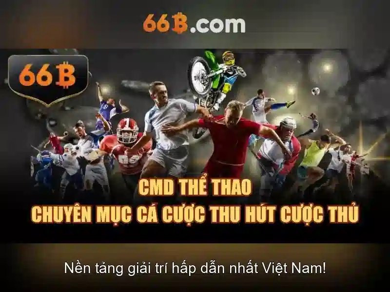 66b: Bí ẩn và ý nghĩa của ký hiệu 66b