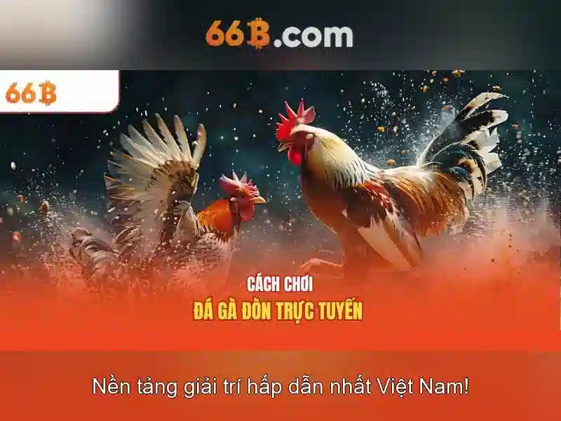 Cấu trúc và kiến trúc dựa trên transformer