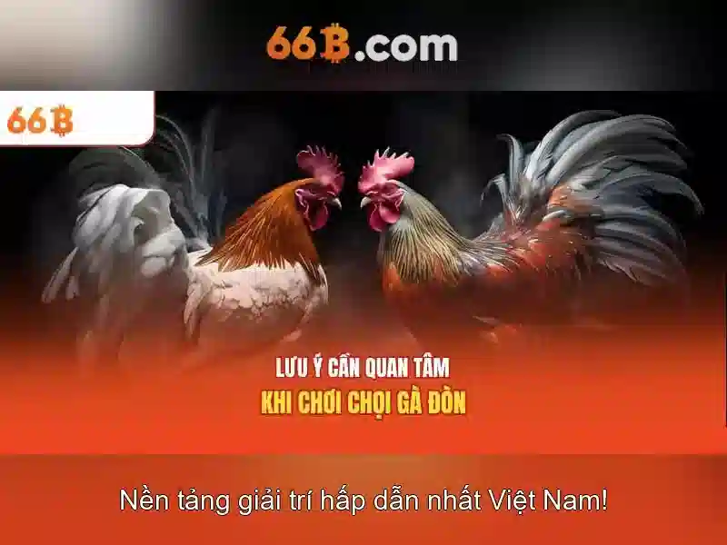 Khái niệm của 66b\n
