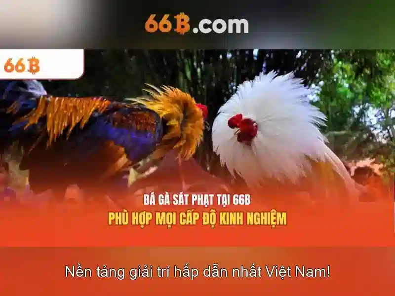 Ứng dụng và thách thức