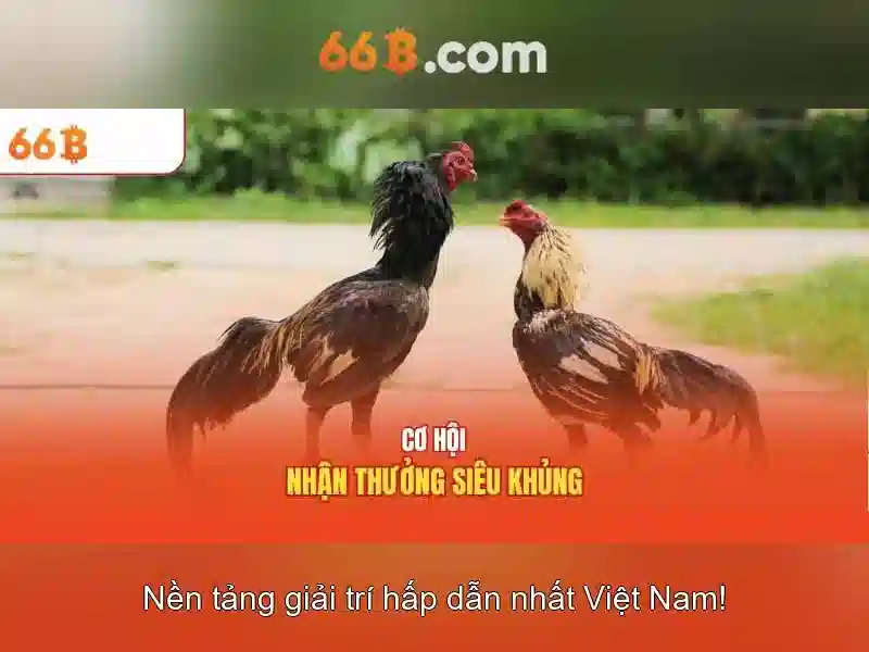 66B: Khái niệm và ứng dụng trong công nghệ