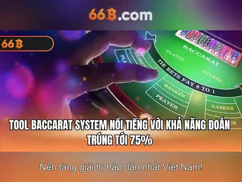 66B là gì?