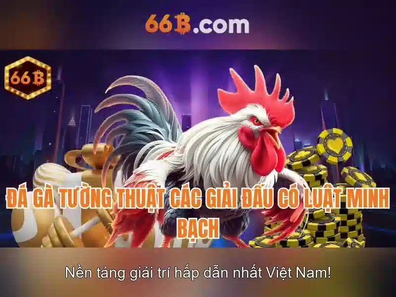 Khái niệm 66B