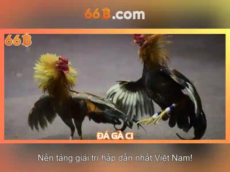 66B là gì? Phân tích về mô hình ngôn ngữ quy mô lớn 66B