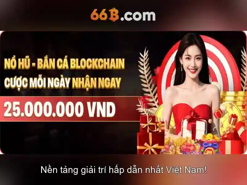 66B là gì?