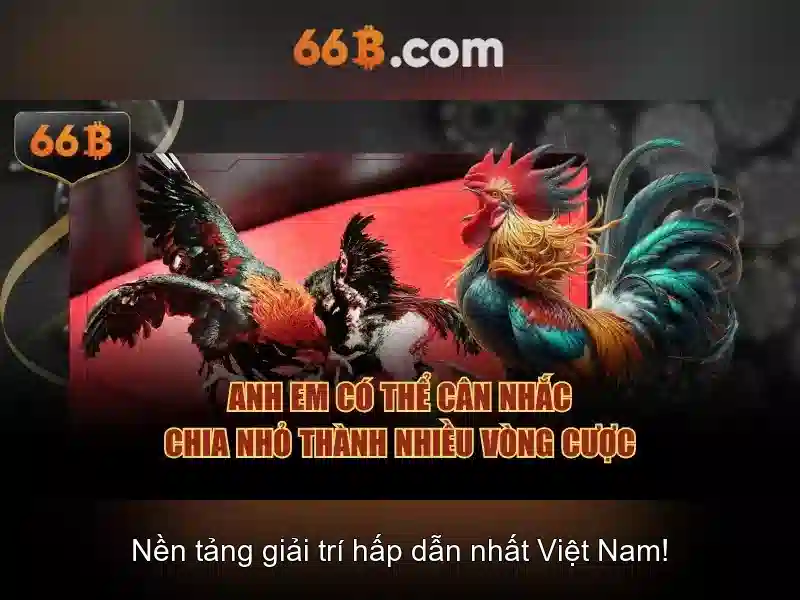 66B: Khám phá mô hình ngôn ngữ quy mô lớn 66 tỷ tham số