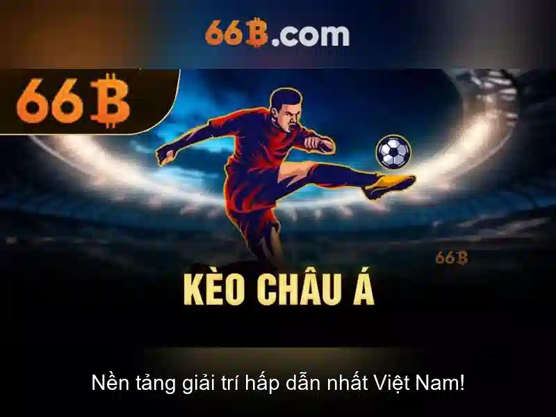 66B là gì\n