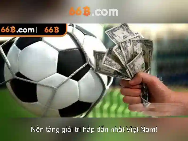 Tương lai và tài nguyên để tìm hiểu thêm về 66b