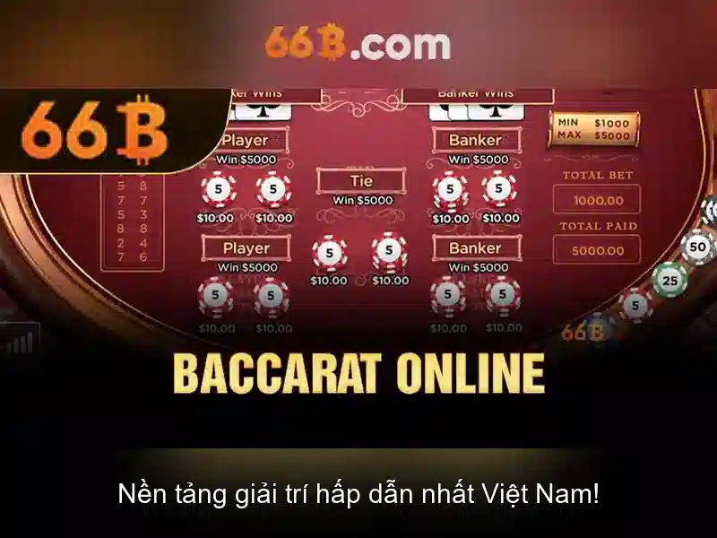 66b là gì?\n