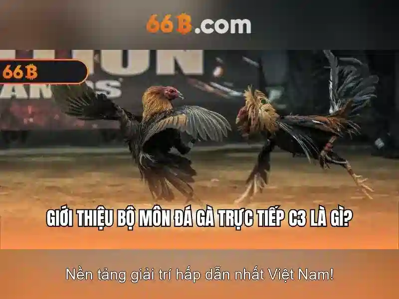 66B: Mô hình ngôn ngữ lớn 66 tỷ tham số và ý nghĩa của nó