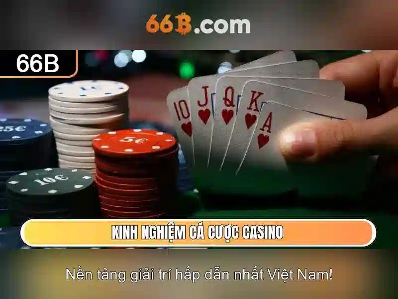 66B: Khai phá mô hình ngôn ngữ 66 tỷ tham số
