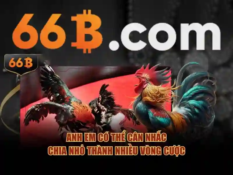 66b trần hưng đạo – hành trình và khuyến mãi nổi bật
