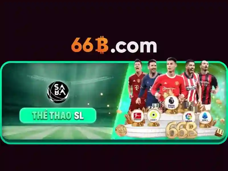 sân cầu 66b triều khúc – tổng quan