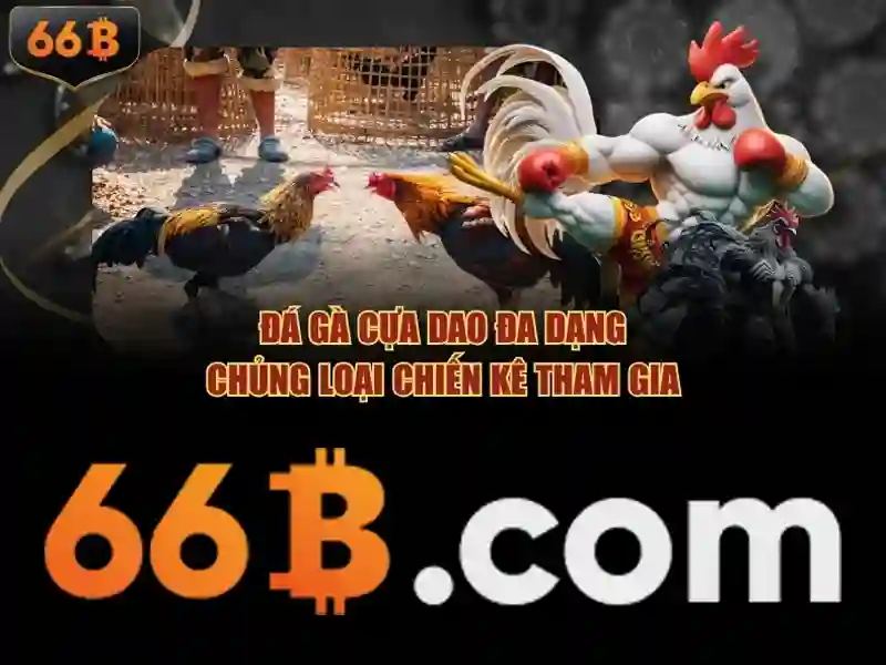 66b phiên bản mới mở ra hành trình trải nghiệm số đỉnh cao