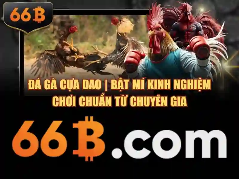 66B: Khái niệm, kiến trúc và ứng dụng của mô hình ngôn ngữ 66 tỉ tham số