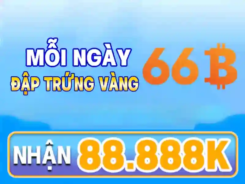 66b – Tổng quan, trải nghiệm và chiến lược thương hiệu