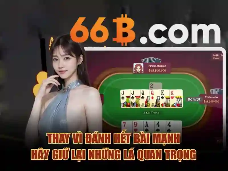 opt 66b tổng quan