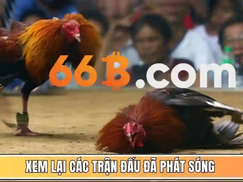 66b nguyễn si sách – chủ đề tổng quan và giá trị cốt lõi