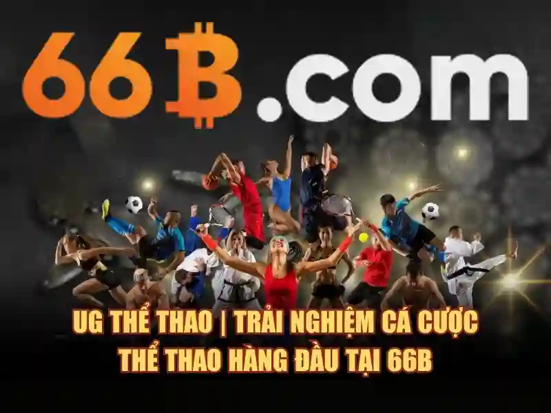 66b: khái niệm, đặc điểm và ứng dụng