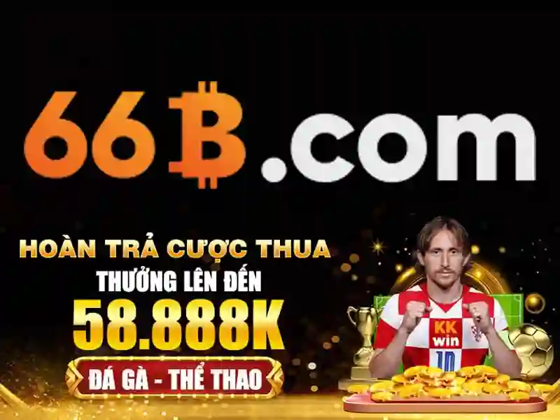 66b: một khái niệm và những câu chuyện đằng sau